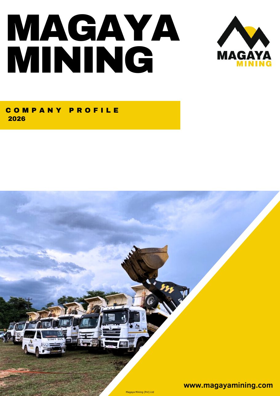 Business Profile page 1